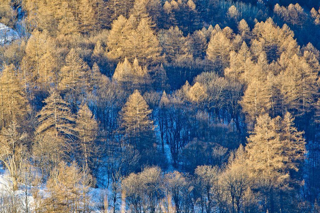 Rock Noir & Spa La Salle-les-Alpes Zewnętrze zdjęcie